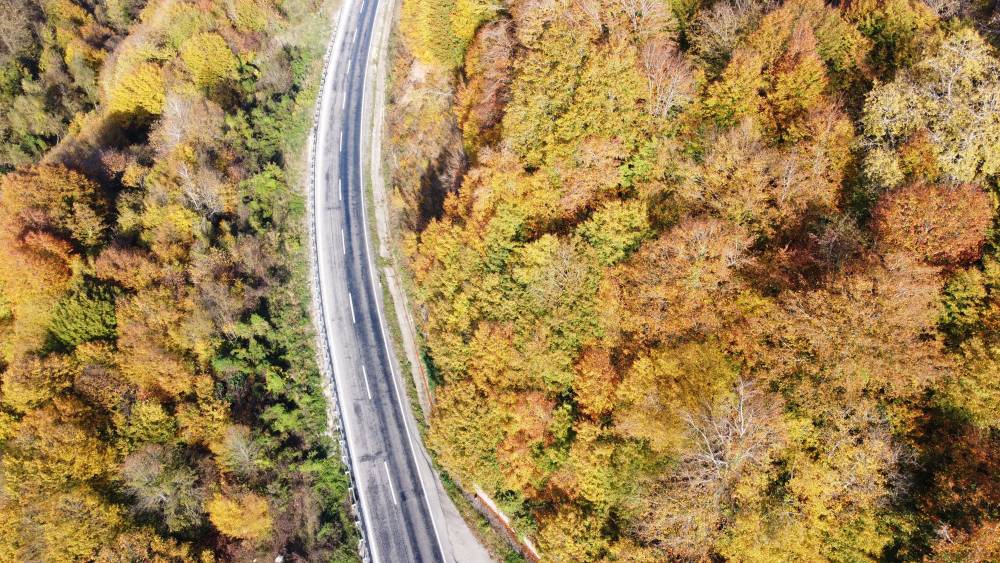 Karadeniz sahil yolundan sonbahar manzaraları 10