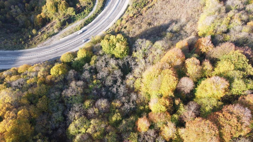 Karadeniz sahil yolundan sonbahar manzaraları 2