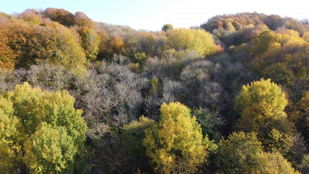 Karadeniz sahil yolundan sonbahar manzaraları 4