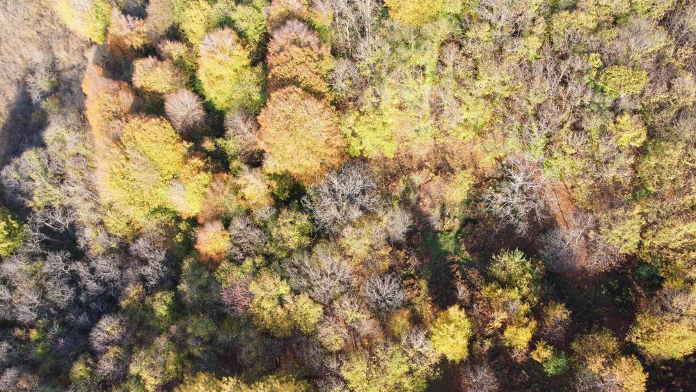 Karadeniz sahil yolundan sonbahar manzaraları 5