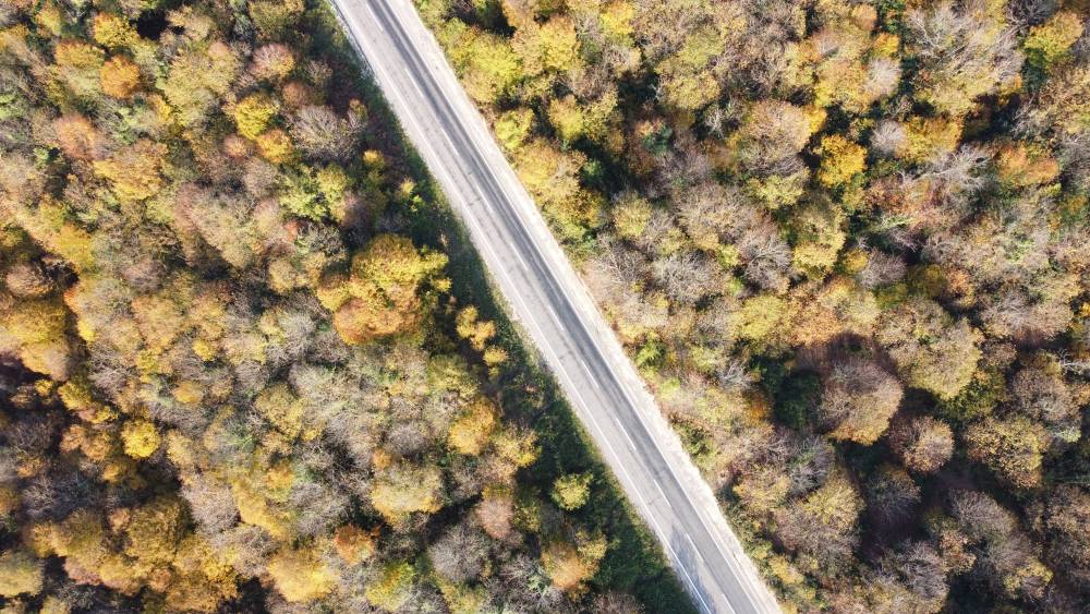 Karadeniz sahil yolundan sonbahar manzaraları 9