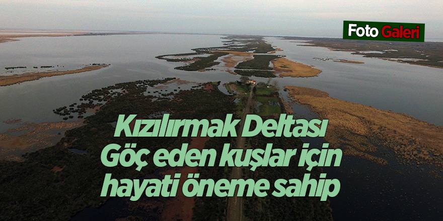 Kızılırmak Deltası Göç eden kuşlar için hayati öneme sahip