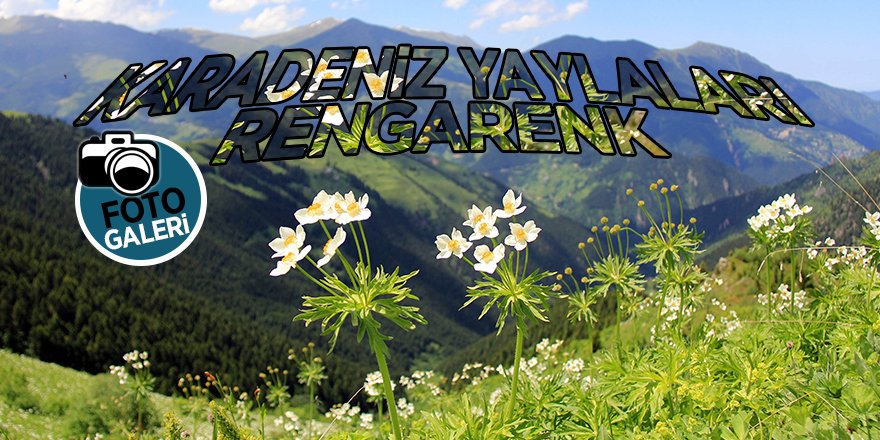 Karadeniz yaylaları rengarenk