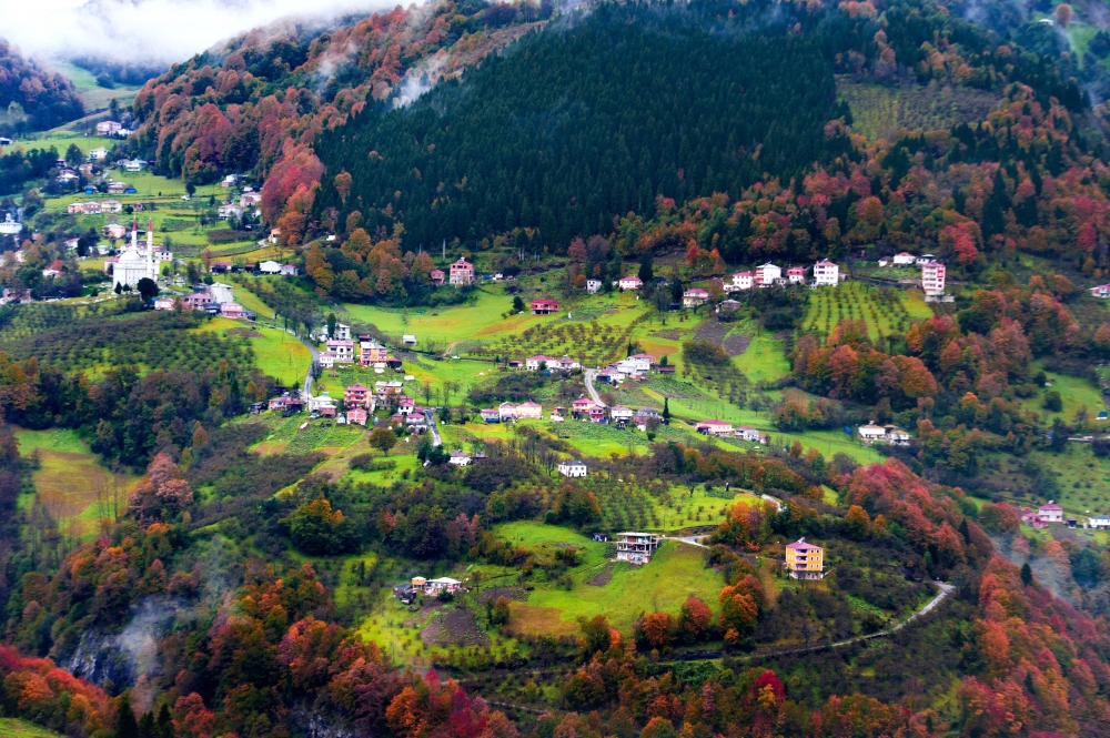 Doğu Karadeniz'de sonbahar güzelliği 3