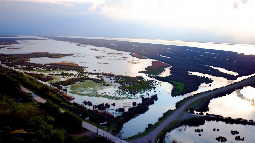 Yeşil Yolculuk Samsun'dan başlayacak 14