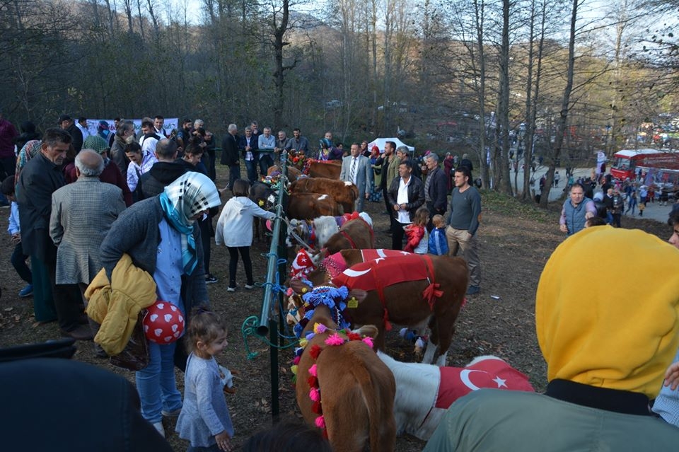 Nebiyan Doğa Festivali 41