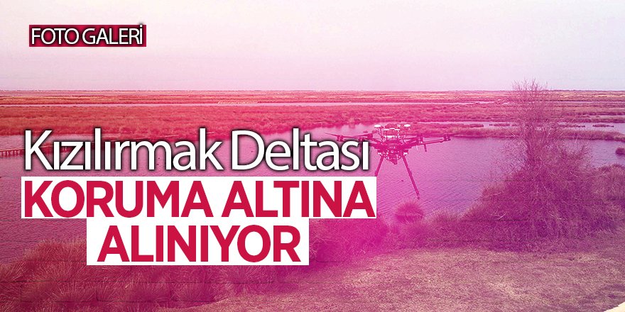 Kızılırmak Deltası koruma altına alınıyor