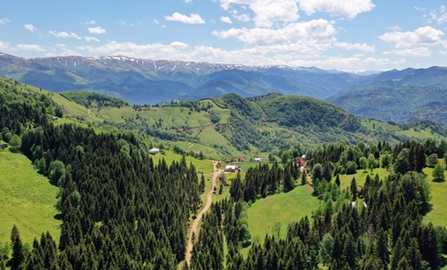 Doğu Karadeniz yaylaları ziyaretçilerini ağırlamaya hazırlanıyor 7