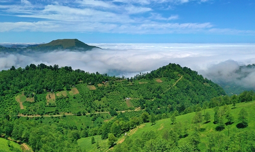 Doğu Karadeniz yaylaları ziyaretçilerini ağırlamaya hazırlanıyor 9