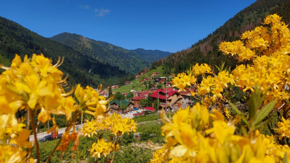 Ayder Yaylası turizm sezonuna hazırlanıyor 3