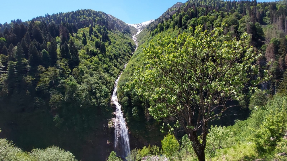 Ayder Yaylası turizm sezonuna hazırlanıyor 7