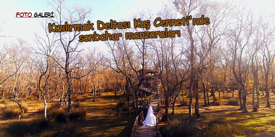 Kızılırmak Deltası Kuş Cenneti'nde sonbahar manzaraları - samsun ha