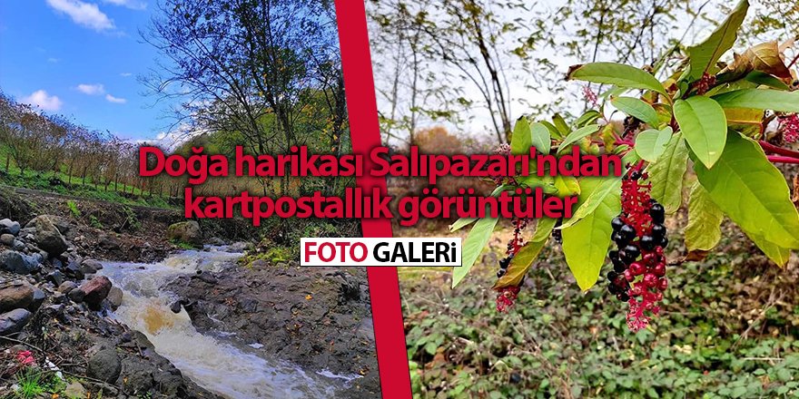 Doğa harikası Salıpazarı'ndan kartpostallık görüntüler - samsun hab