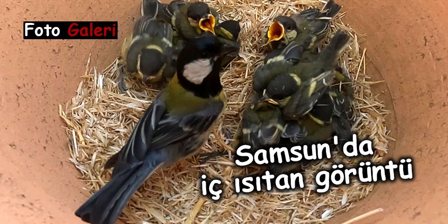 Samsun'da iç ısıtan görüntü - samsun haber