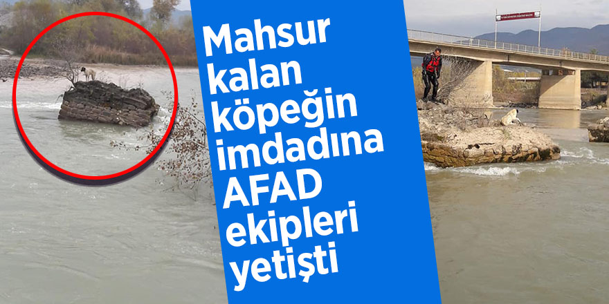 Mahsur kalan köpeğin imdadına AFAD ekipleri yetişti 