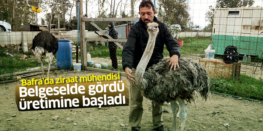 Belgeselde gördüğü deve kuşlarının üretimine başladı