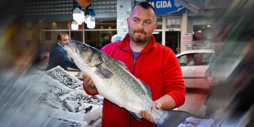 Karadeniz'de ağlara 8 kiloluk levrek takıldı