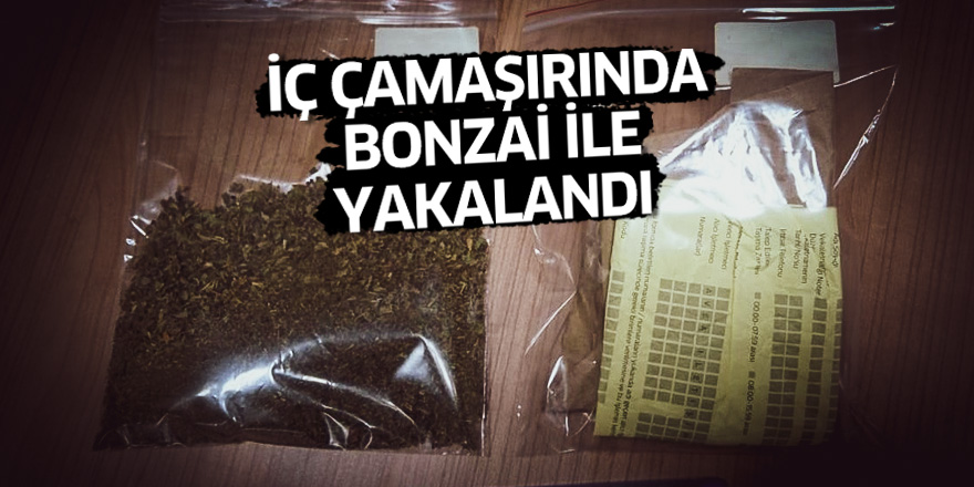 Samsun'da iç çamaşırında bonzai ile yakalandı