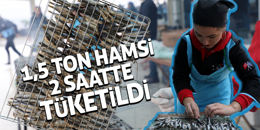 1,5 ton hamsi 2 saatte tüketildi