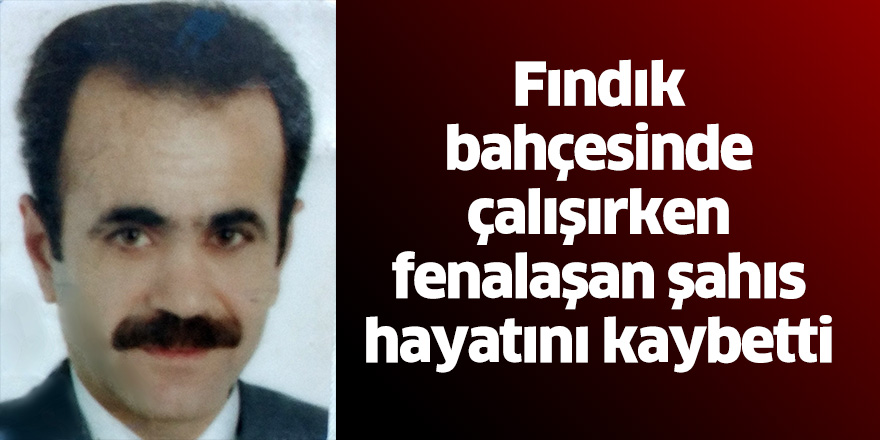 Fındık bahçesinde çalışırken fenalaşan şahıs hayatını kaybetti