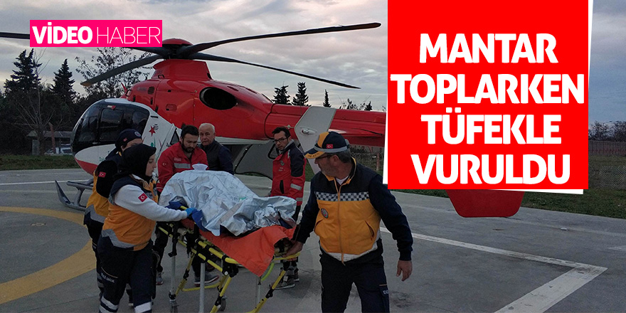 Mantar toplarken tüfekle vuruldu 