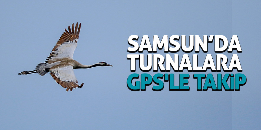 Turnalara GPS'li takip