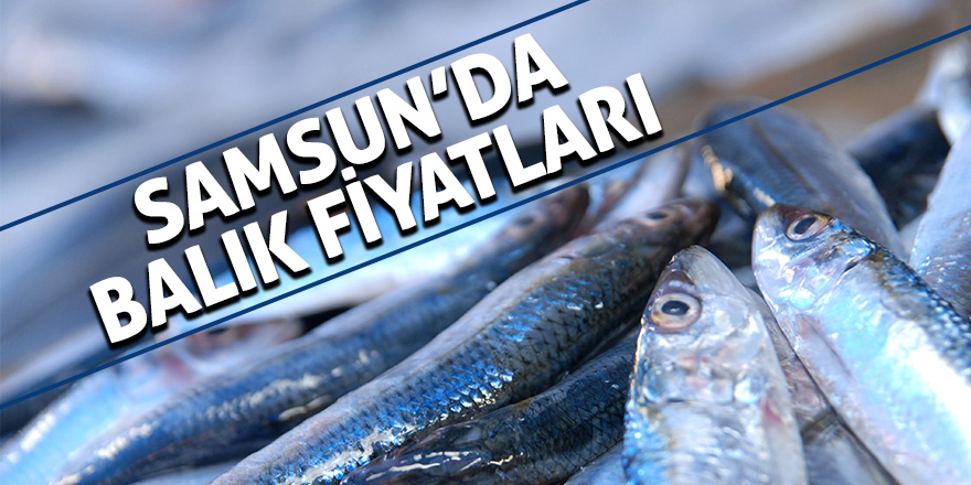 Samsun’da balık fiyatları 