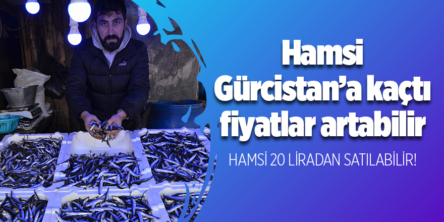 Hamsi Gürcistan'a kaçtı fiyatlar artabilir