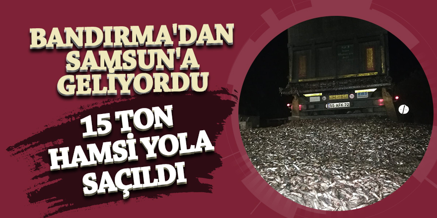 Bandırma'dan Samsun'a geliyordu! 15 Ton hamsi yola saçıldı