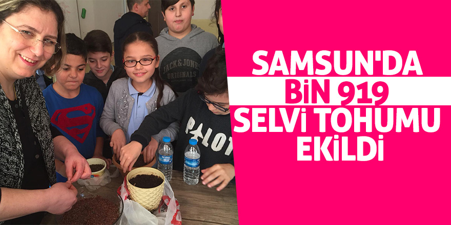 Samsun'da bin 919 selvi tohumu ekildi