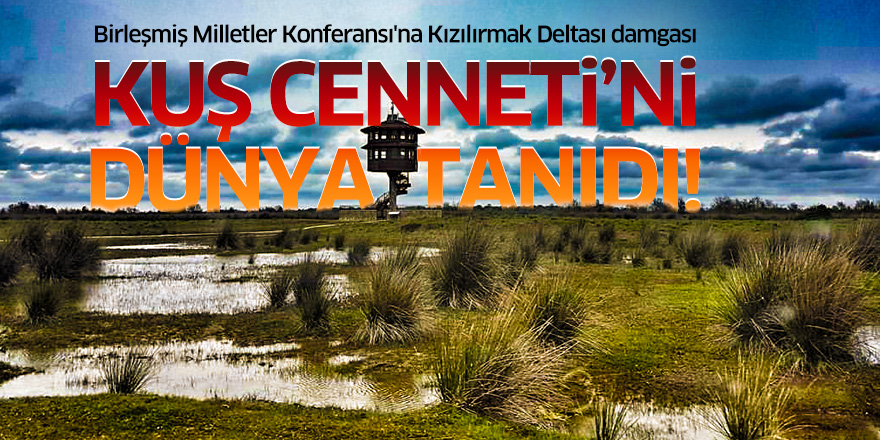 Kuş Cenneti'ni dünya tanıdı