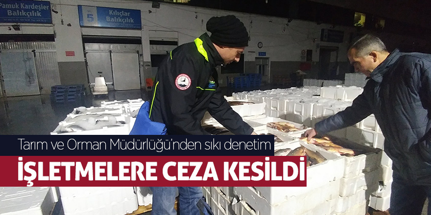 Tarım ve Orman Müdürlüğü’nden sıkı denetim