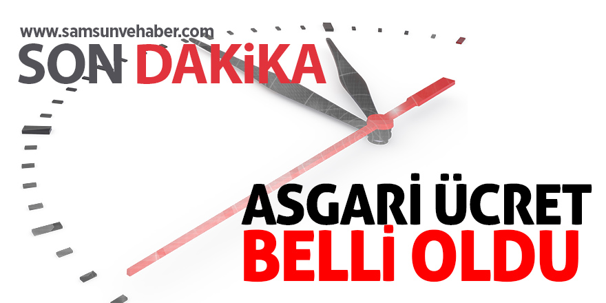 Asgari ücret belli oldu