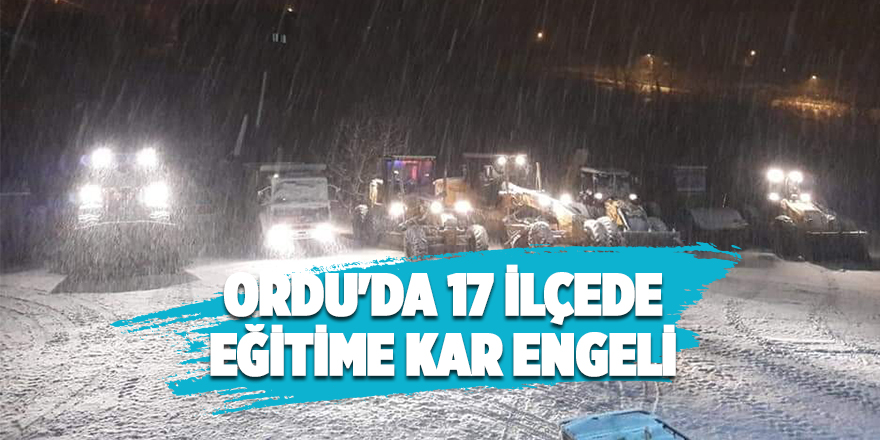 Ordu'da 17 ilçede eğitime kar engeli