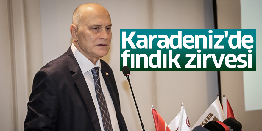 Karadeniz'de fındık zirvesi