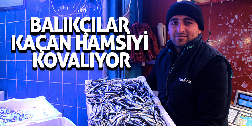 Balıkçılar kaçan hamsiyi kovalıyor