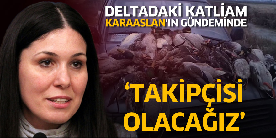 Karaaslan: Takipçisi olacağız