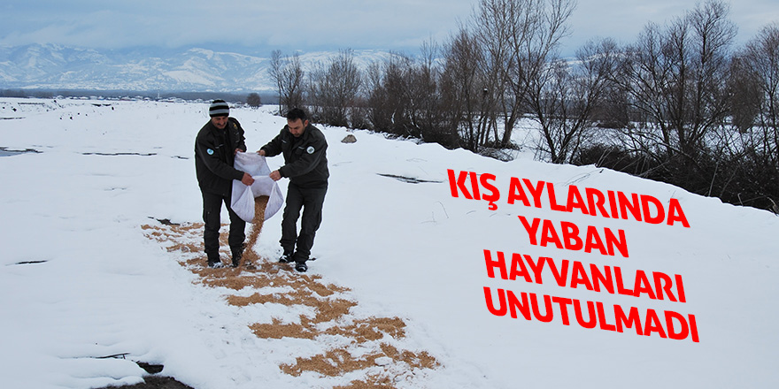 Kış aylarında yaban hayvanları unutulmadı 