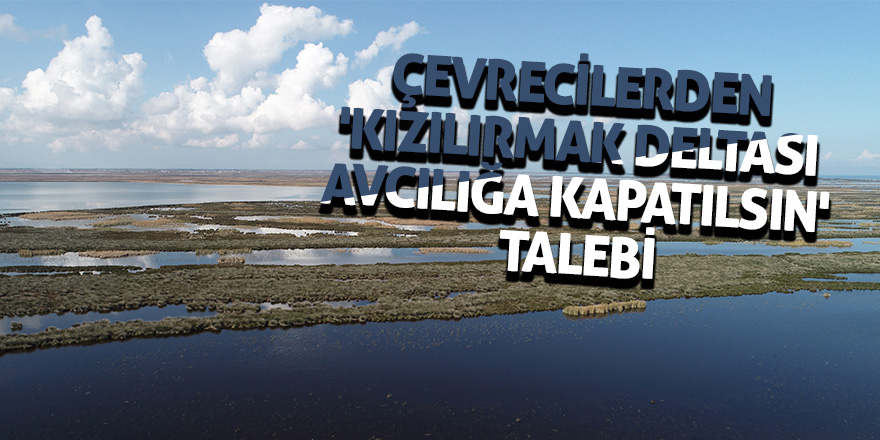 Çevrecilerden 'Kızılırmak Deltası avcılığa kapatılsın' talebi