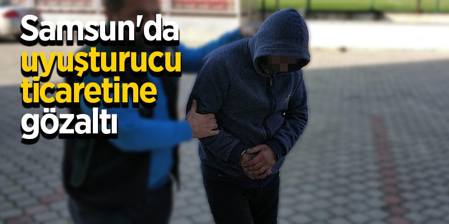 Samsun'da bonzai ticaretine gözaltı 