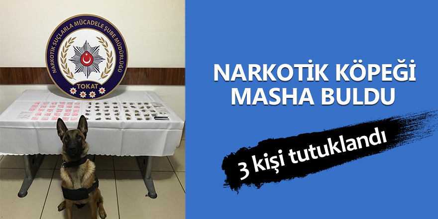 Narkotik köpeği Masha buldu, 3 kişi tutuklandı