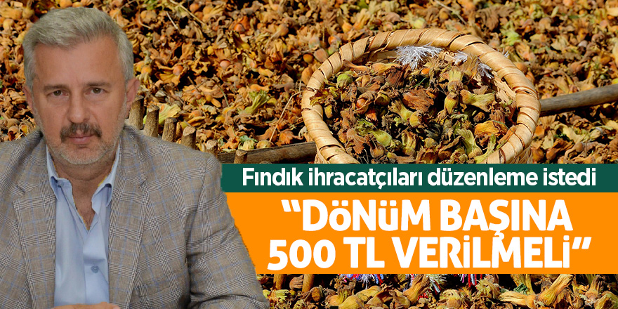 Fındık ihracatçıları düzenleme istedi