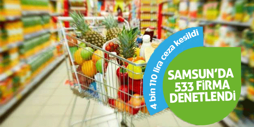 Samsun’da 533 firma denetlendi 