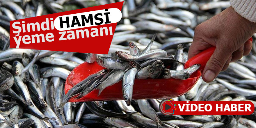 Şimdi hamsi yeme zamanı