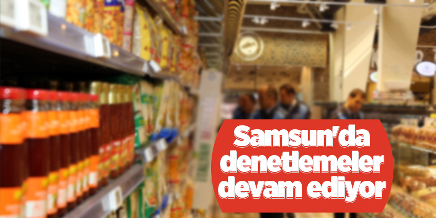 Samsun'da denetlemeler devam ediyor