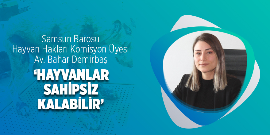 Samsun Barosu Hayvan Hakları Komisyon’u yasa tasarısını eleştirdi