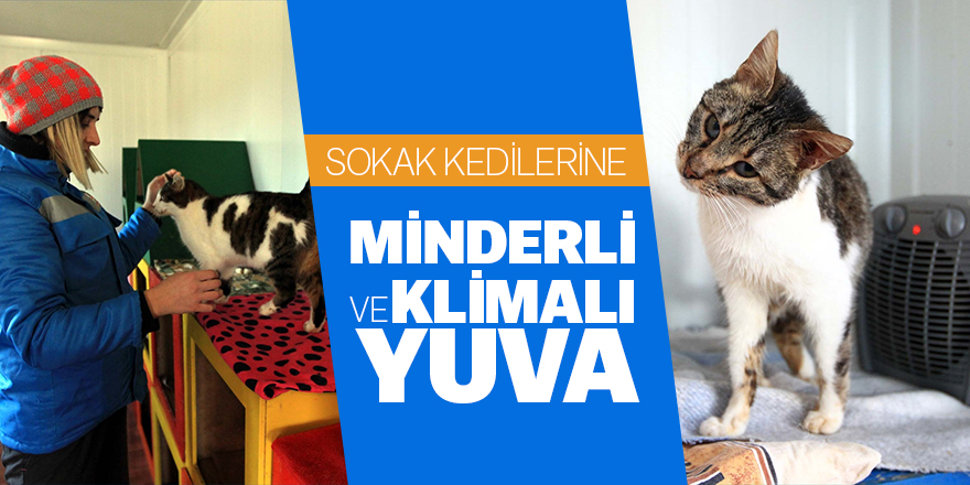 Sokak kedilerine 7/24 minderli ve klimalı yuva