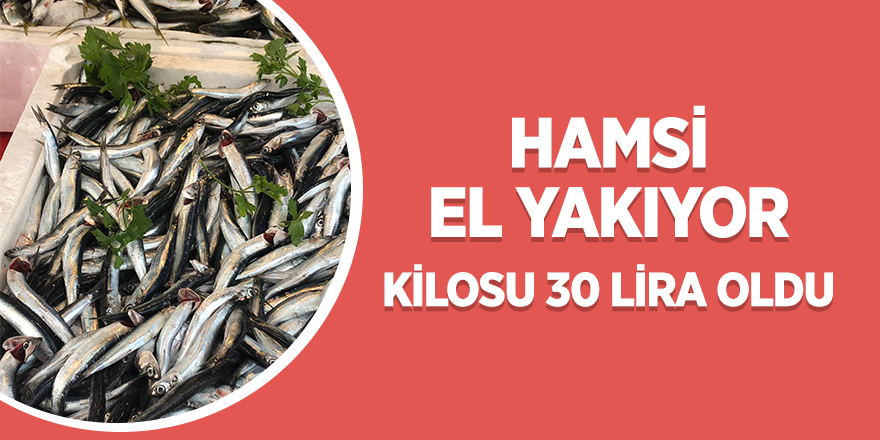 Hamsi 30 liraya yükseldi! Hem tüketici hemde balıkçı üzgün