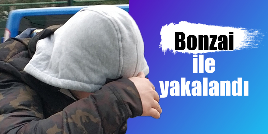 Bonzai ile yakalandı