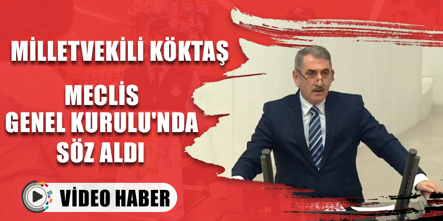 Milletvekili Köktaş Meclis Genel Kurulu'nda söz aldı